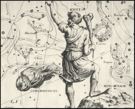 COM - Vlasy Bereniky