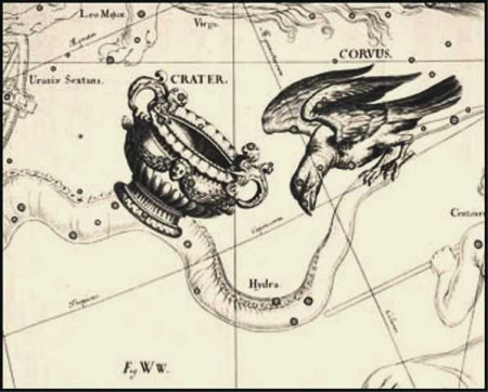 Crv - Havran