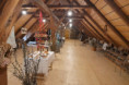 /album/2025-expo-borotin-budovani/20250608-092042-jpg/
