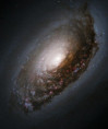 M064 - Spirální galaxie "Černé oko - Šípková Růženka - Spící kráska" v souhvězdí Vlasů Bereniky